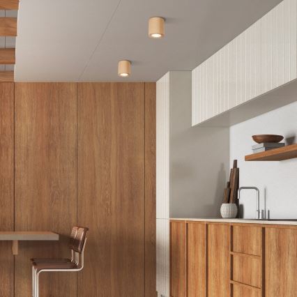 Spotlight EVE 1xGU10/10W/230V bok