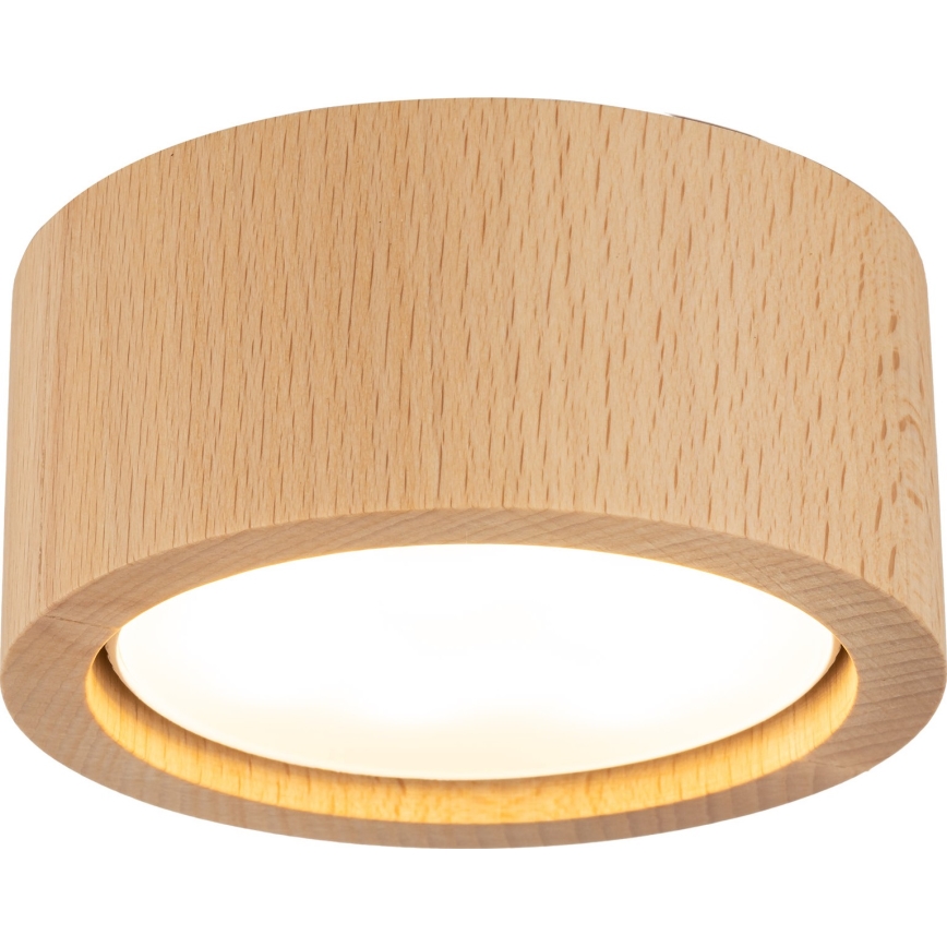 Spotlight EVE 1xGX53/11W/230V bok