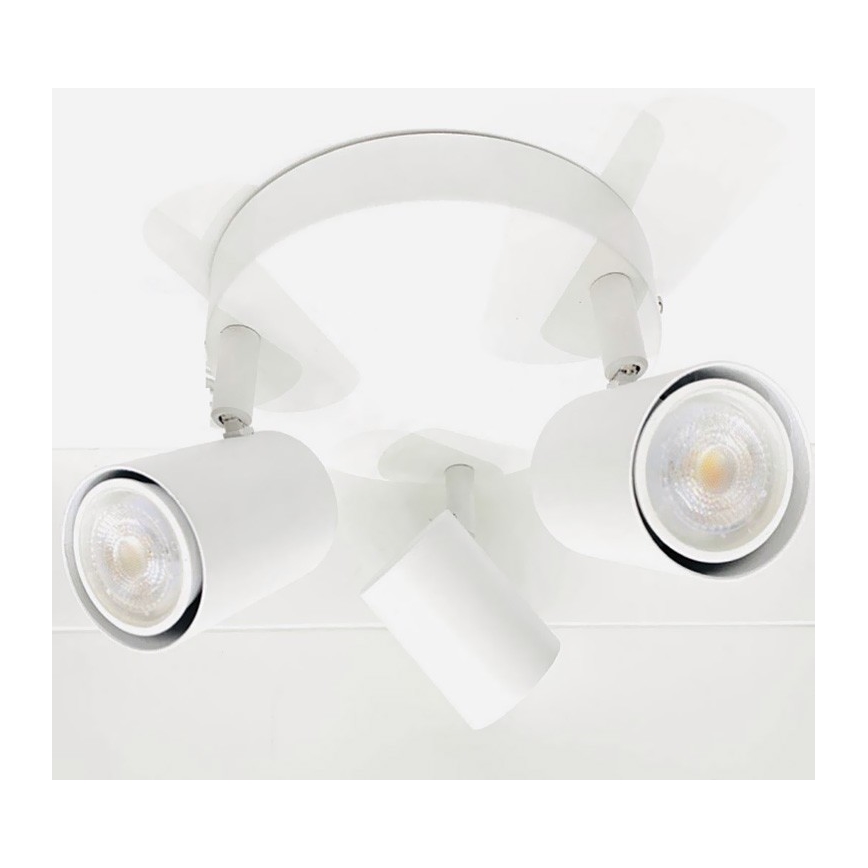 Spotlight FARGO 3xGU10/30W/230V vit