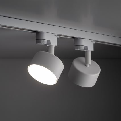 Spotlight för 1-fas skensystem AVIA 1xGX53/15W/230V vit