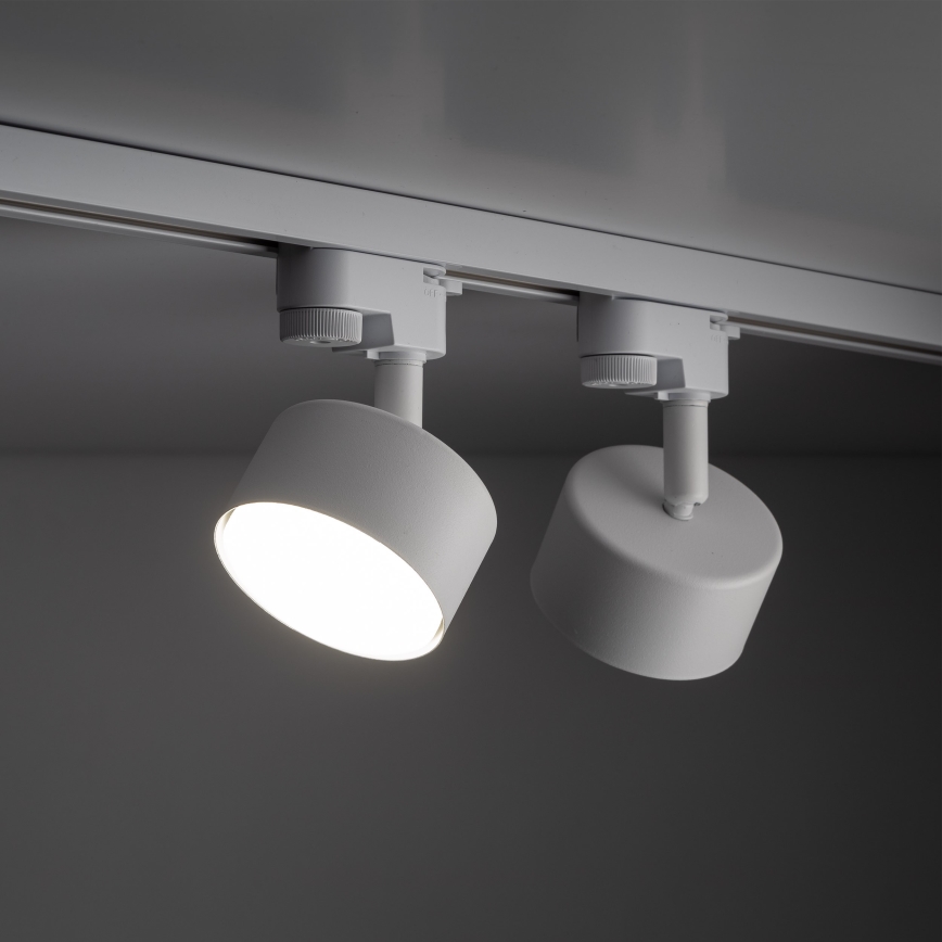 Spotlight för 1-fas skensystem AVIA 1xGX53/15W/230V vit