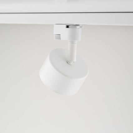 Spotlight för 1-fas skensystem AVIA 1xGX53/15W/230V vit