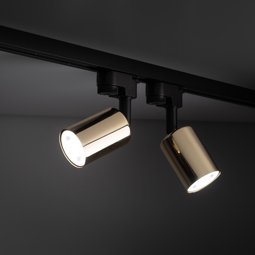 Spotlight för skensystem TOP 1xGU10/10W/230V guld/svart