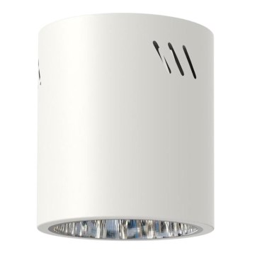 Spotlight GEORGE 1xE27/60W/230V diameter 13,7 cm vit