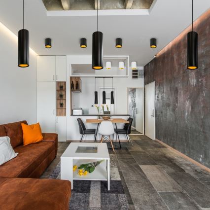 Spotlight HADAR R1 1xGU10/10W/230V svart