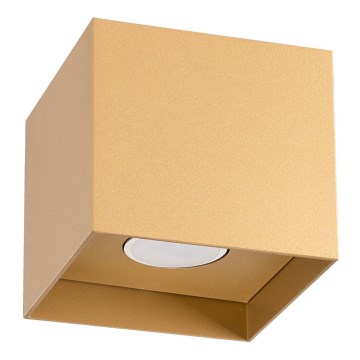 Spotlight HATI 1xGU10/10W/230V guld