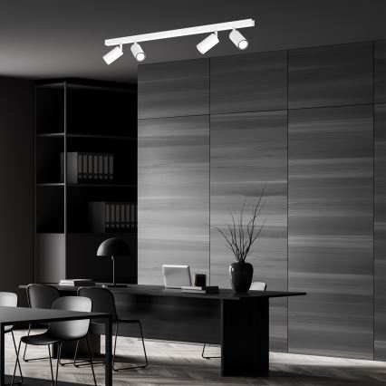 Spotlight HUDSON 4xGU10/8W/230V vit