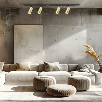 Spotlight i skensystem MICA 4xGU10/10W/230V guld/svart