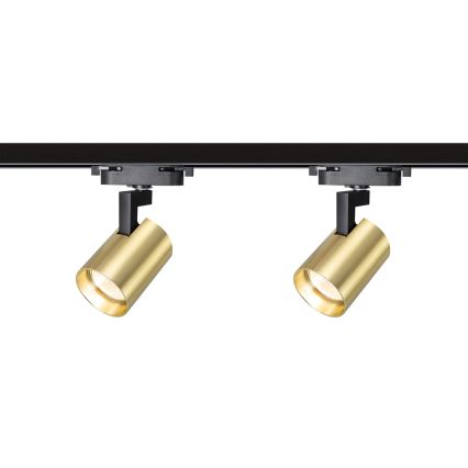 Spotlight i skensystem VOLF 4xGU10/10W/230V guld/svart