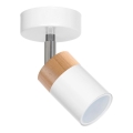 Spotlight JOKER WHITE WOOD 1xGU10/8W/230V