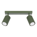 Spotlight KARBON 2xGU10/10W/230V grön