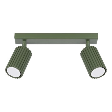Spotlight KARBON 2xGU10/10W/230V grön