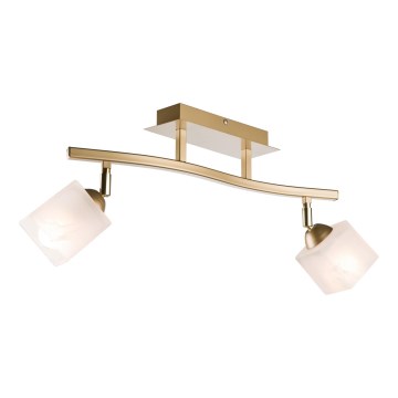 Spotlight KLARA 2xE14/40W/230V guld