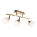 Spotlight KLARA 3xE14/40W/230V guld
