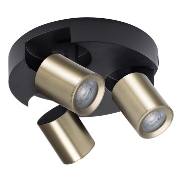 Spotlight LAURIN 3xGU10/10W/230V mässing/svart