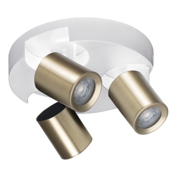 Spotlight LAURIN 3xGU10/10W/230V mässing/vit