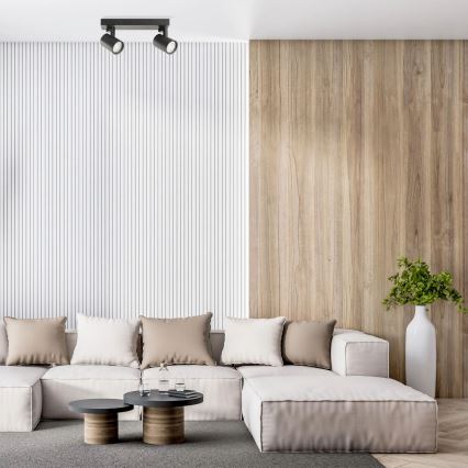 Spotlight LYNX 2xGU10/10W/230V svart