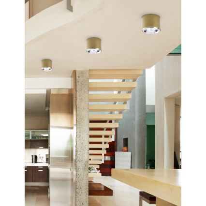 Spotlight  MORIS 1xAR111 GU10/50W/230V gyllene