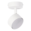 Spotlight NEMO 1xGX53/12W/230V vit