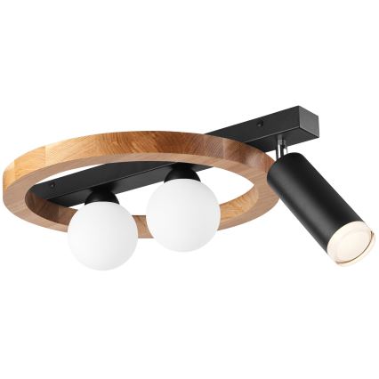 Spotlight OTIS 2xG9/5W/230V + 1xE27/15W/230V ek