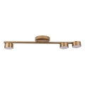 Spotlight PUNTO 3xGX53/12W/230V guld
