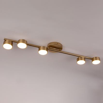 Spotlight PUNTO 5xGX53/12W/230V guld