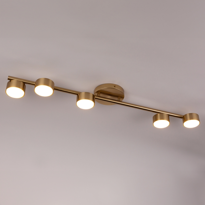 Spotlight PUNTO 5xGX53/12W/230V guld