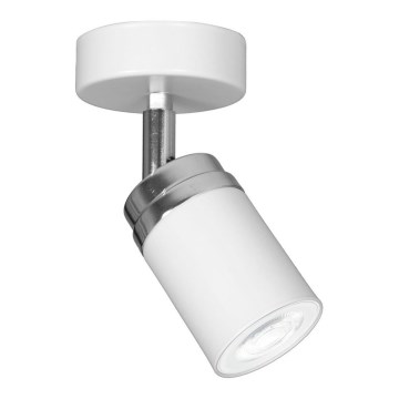 Spotlight RENO 1xGU10/8W/230V vit/skinande krom