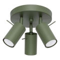 Spotlight RING 3xGU10/10W/230V grön