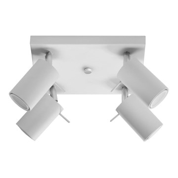 Spotlight RING 4 4xGU10/10W/230V vit