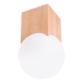 Spotlight SOLIS 1xG9/8W/230V bok