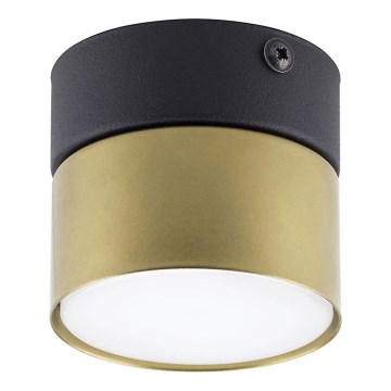 Spotlight  SPACE GOLD 1xGX53/15W/230V