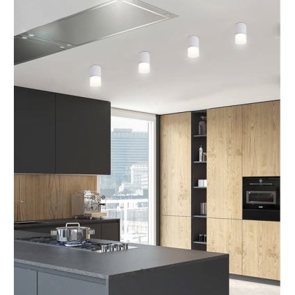 Spotlight  TUBA 1xGU10/15W/230V grå/vit 