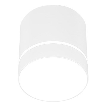 Spotlight TUBA 1xGU10/15W/230V vit