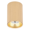 Spotlight TUBE 1xGU10/15W/230V beige