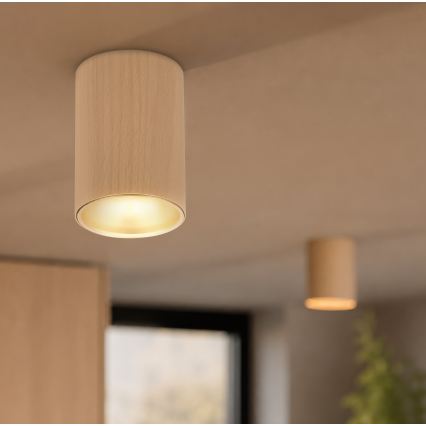Spotlight TUBE 1xGU10/15W/230V beige