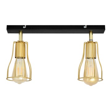 Spotlight TUBE 2xE27/15W/230V guld/svart