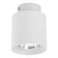 Spotlight  VICO WHITE 1xGU10/10W/230V
