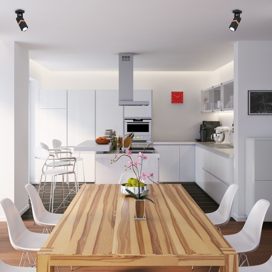 Spotlight VIDAR 1xGU10/25W/230V svart