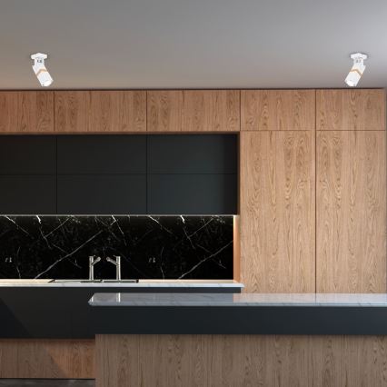 Spotlight VIDAR 1xGU10/25W/230V vit