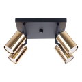 Spotlight WINX 4xGU10/10W/230V svart/guld
