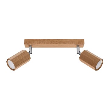 Spotlight  ZEKE 2xGU10/40W/230V ek