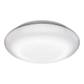 Steinel 035440 - LED Utomhusbelysning med sensor QUATTRO LED/10W/230V IP54