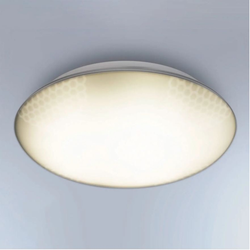 Steinel 035440 - LED Utomhusbelysning med sensor QUATTRO LED/10W/230V IP54