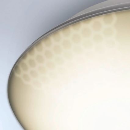 Steinel 035440 - LED Utomhusbelysning med sensor QUATTRO LED/10W/230V IP54