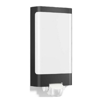 Steinel 056506 - LED Utomhusbelysning med sensor L 240 LED/7,5W/230V IP44