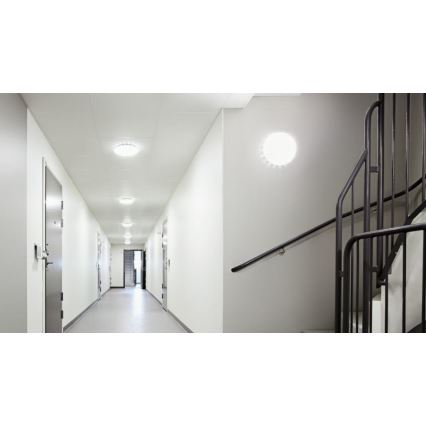 Steinel 068042 - LED taklampa med en sensor RS PRO S30 SC 25,8W/230V 4000K