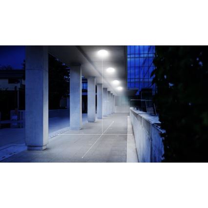 Steinel 068196 - LED badrumsplafond med sensor DL Vario Quattro PRO S LED/14W/230V 4000K IP54