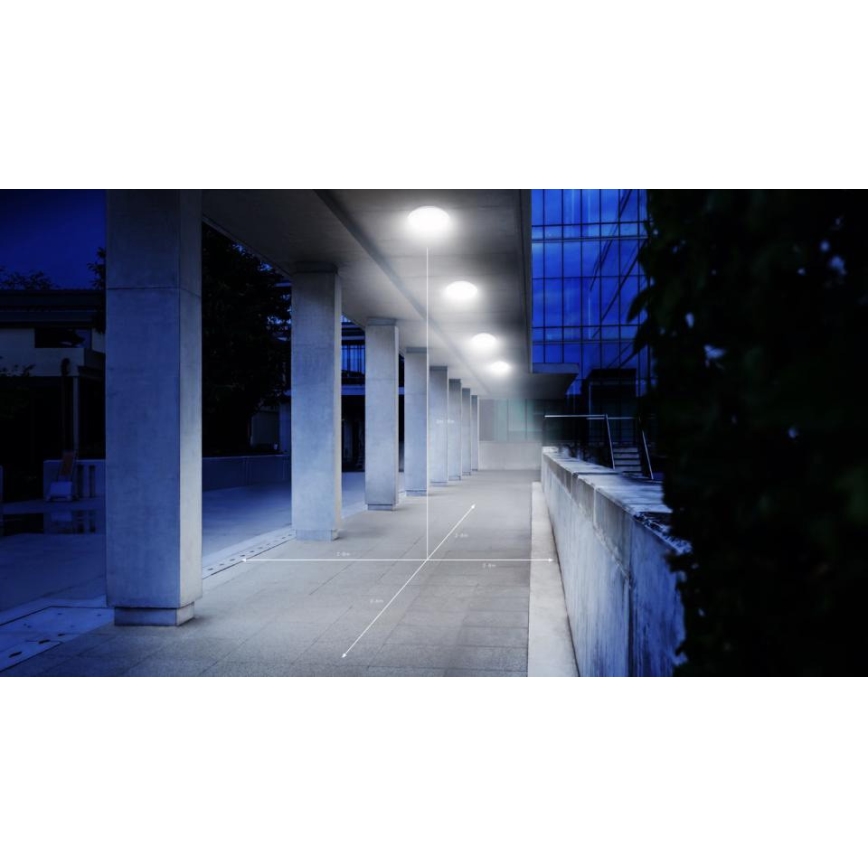 Steinel 068196 - LED badrumsplafond med sensor DL Vario Quattro PRO S LED/14W/230V 4000K IP54