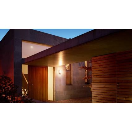 Steinel 069155 - Utomhus vägglampa  L 12 1xE27/60W/230V IP44 antracit 